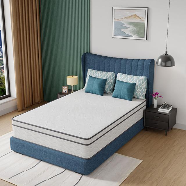 Catmint 12" Full Innerspring Mattress