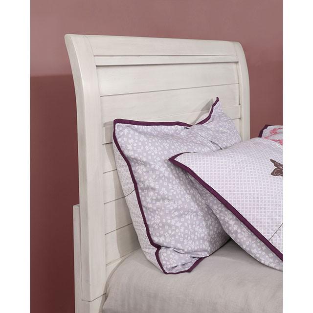 Bed Brogan